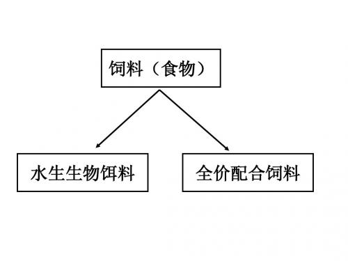 饲料