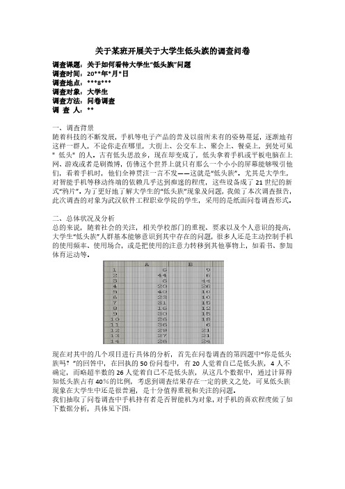 低头族的调查报告