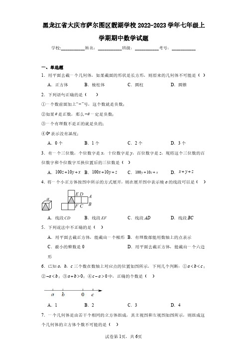 黑龙江省大庆市萨尔图区靓湖学校2022-2023学年七年级上学期期中数学试题(含答案解析)