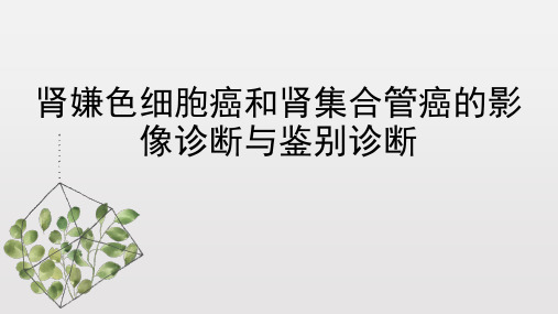 肾嫌色细胞癌和集合管癌的影像诊断与鉴别诊断