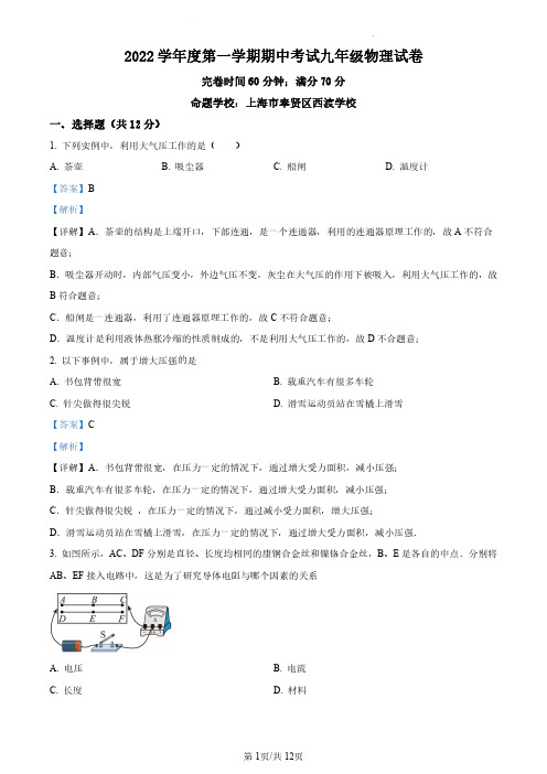 上海市奉贤区2022-2023学年九年级上学期期中物理试题(解析版)