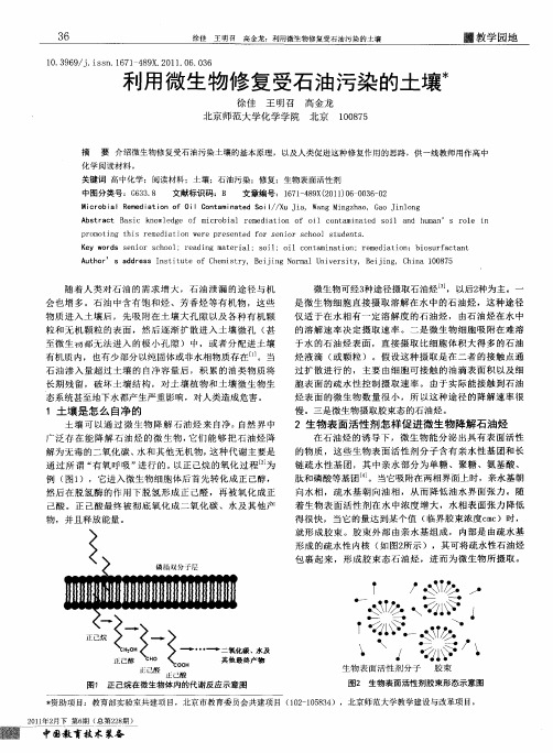 利用微生物修复受石油污染的土壤