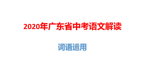 2020年广东省中考语文解读第三讲：词语运用