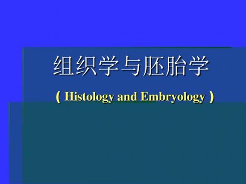 组织学与胚胎学神经