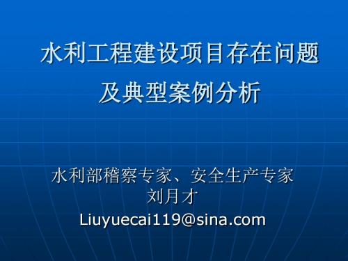 水利工程建设项目存在问题及典型案例分析