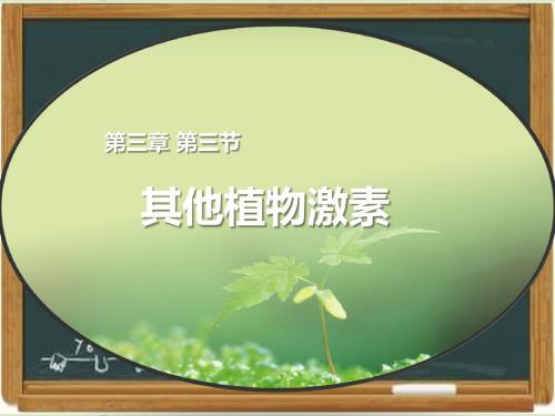 人教版高中生物必修三《其他植物激素》课件