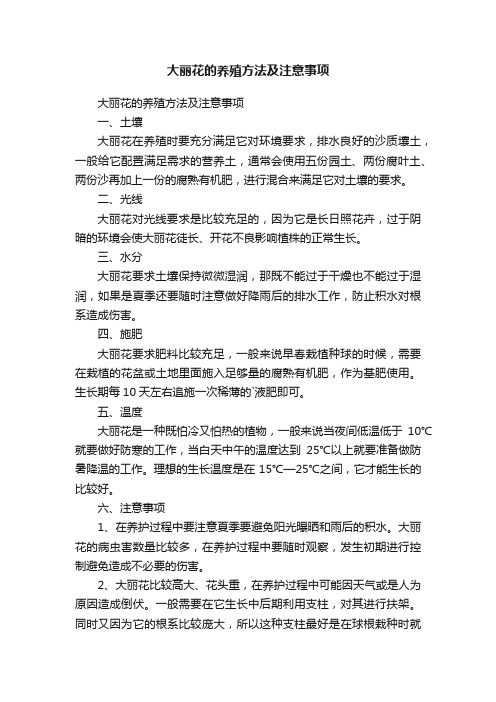 大丽花的养殖方法及注意事项