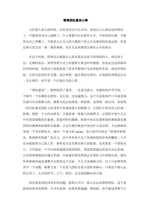 销售团队建设心得