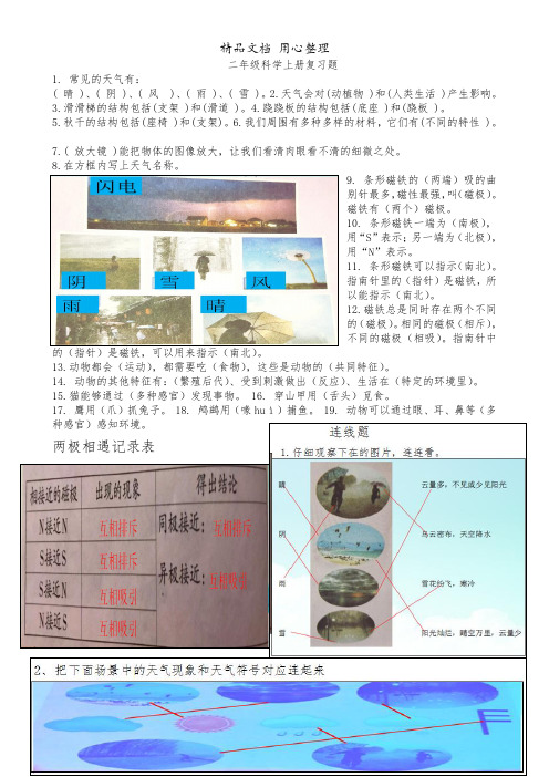 大象版(新教材)二年级上册小学科学期末复习资料