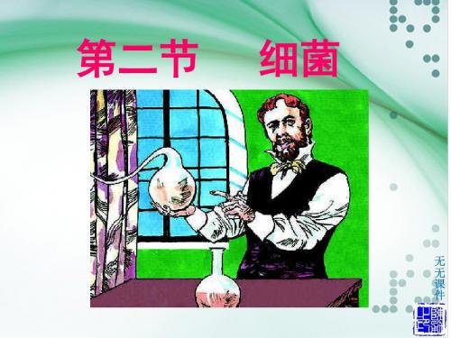 第二节 细菌