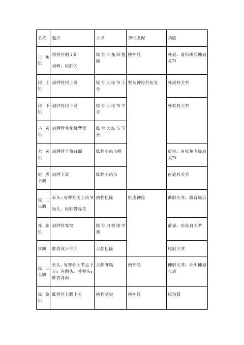 肌肉的起止点及神经支配总结