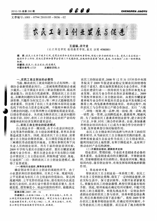 农民工自主创业发展与促进