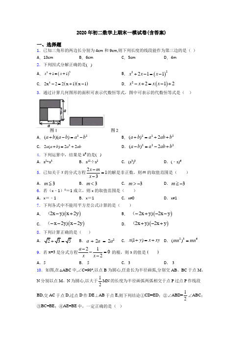 2020年初二数学上期末一模试卷(含答案)