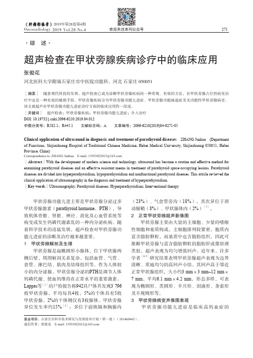 超声检查在甲状旁腺疾病诊疗中的临床应用