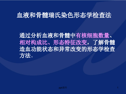 血细胞形态学ppt课件