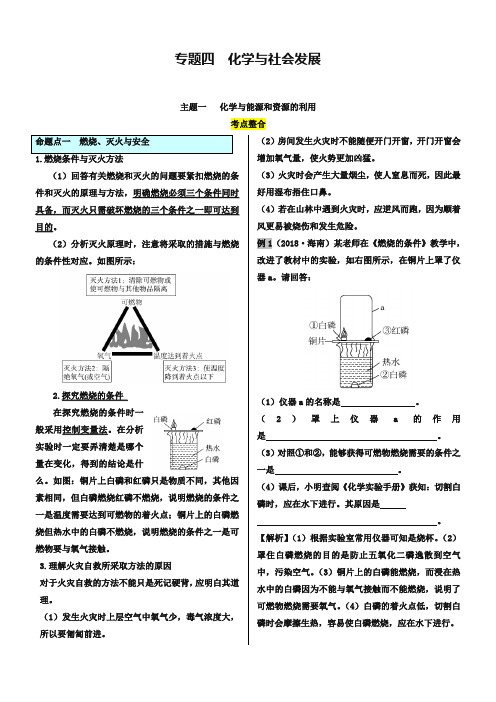 2019届中考化学命题点精讲精练(4)化学与社会发展(含答案)