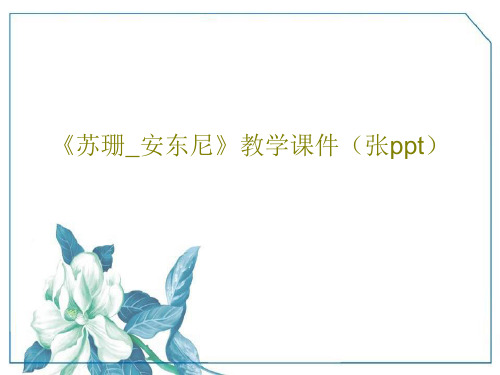 《苏珊_安东尼》教学课件(张ppt)15页PPT