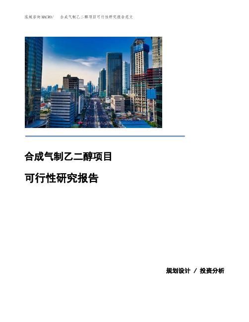 合成气制乙二醇项目可行性研究报告范文