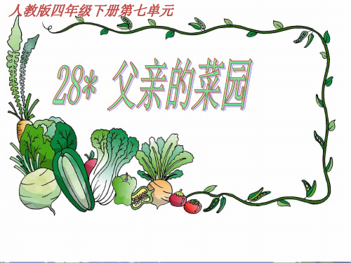 人教版小学四年级语文下册《28 父亲的菜园》精品课件