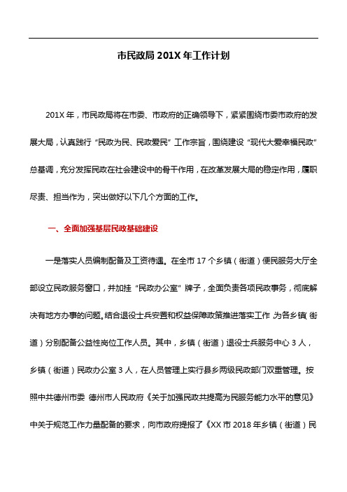 工作总结:市民政局201X年工作计划