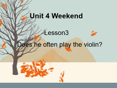 四年级下册英语课件-Unit 4 WeekendLesson 3 Does he often play the violin  鲁科版(五四学制)