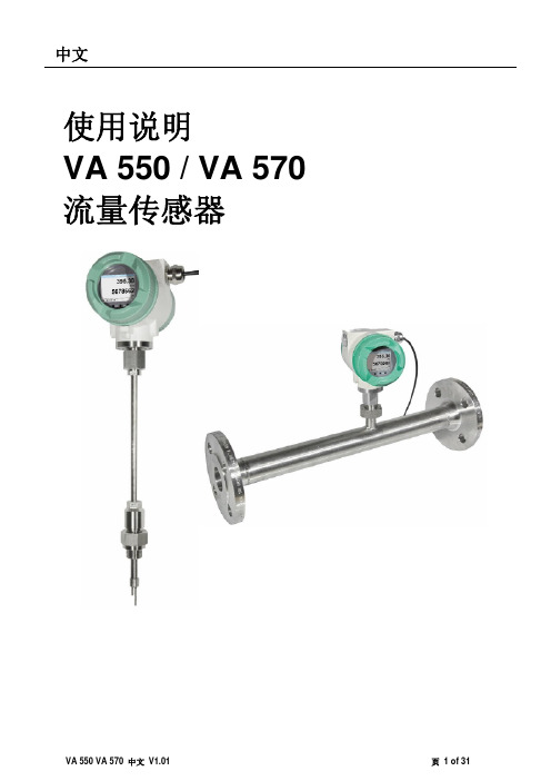 CS-Instruments VA 550   VA 570 用户手册_中文说明书