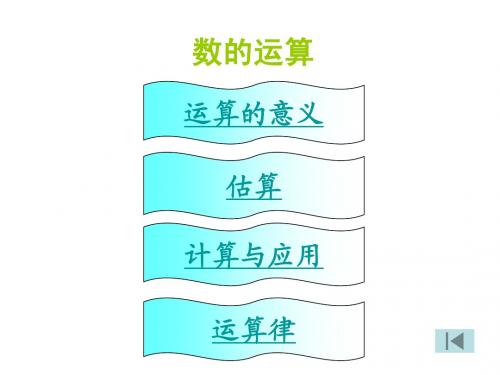 北师大版小学数学总复习 数的运算