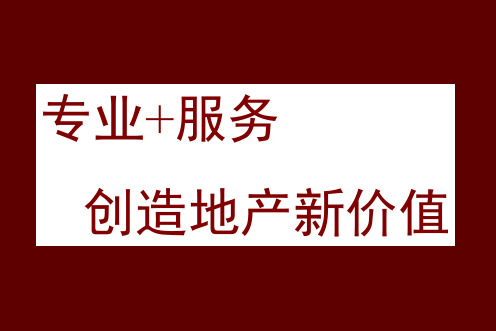 同致行-刀锋行动-水榭澜湾整体营销策略195页