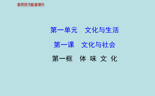 学年高中政治 第一单元 第一课 第一框 体味文化 新人教版必修3精品PPT课件