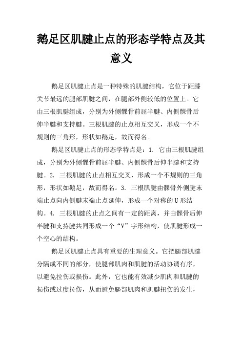 鹅足区肌腱止点的形态学特点及其意义