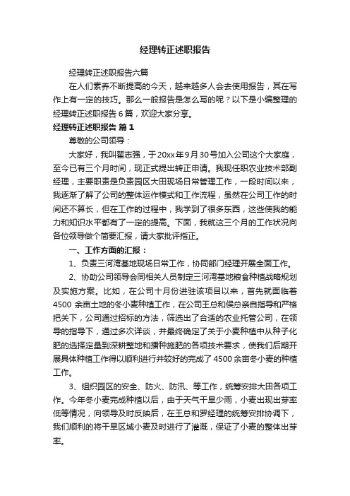 经理转正述职报告