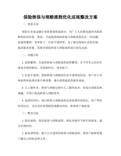 保险核保与理赔流程优化巡视整改方案