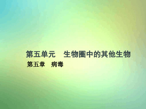 八年级生物上册55病毒课件新版新人教版