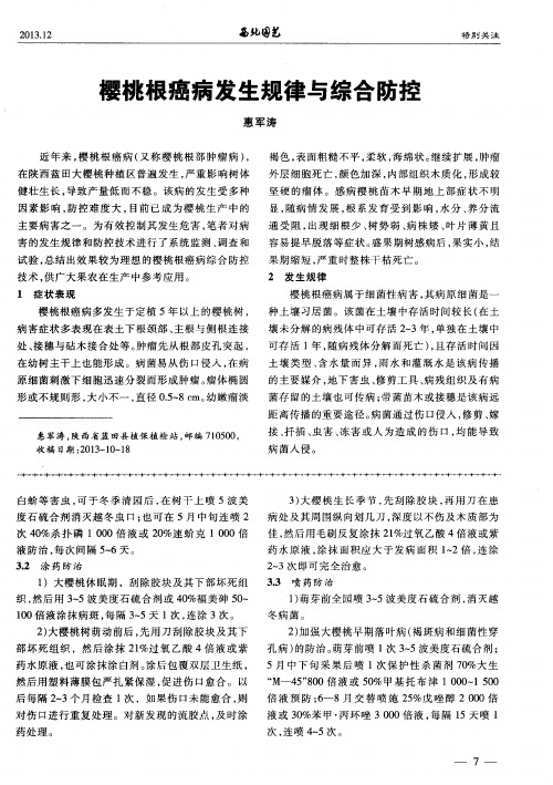 樱桃根癌病发生规律与综合防控