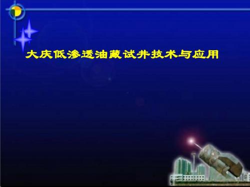 [实用参考]大庆低渗透油藏试井技术与应用.ppt