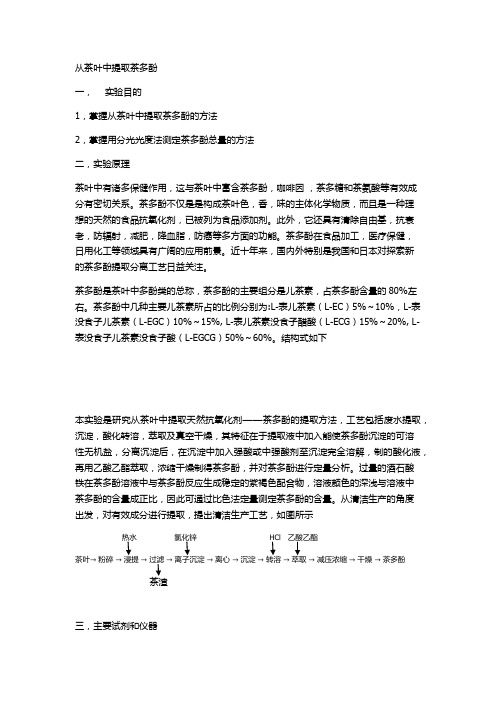 茶多酚提取