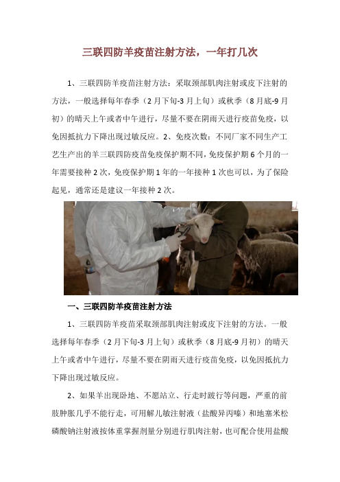 三联四防羊疫苗注射方法,一年打几次