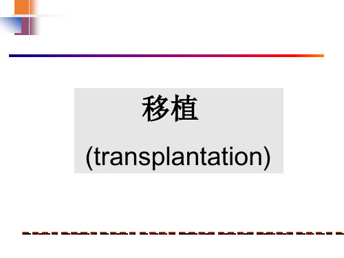 器官移植PPT课件