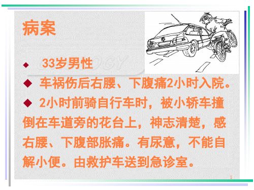 肾、膀胱和尿道损伤患者的护理ppt课件