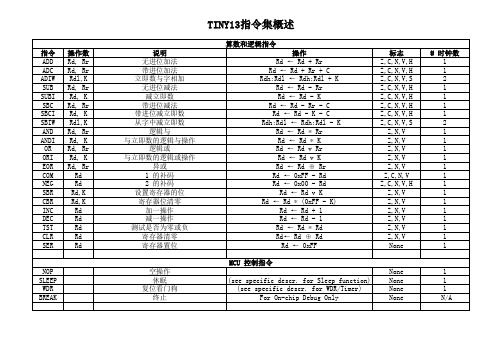 ATTINY13指令整理