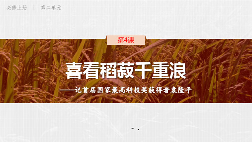 《喜看稻菽千重浪》PPT教学课件