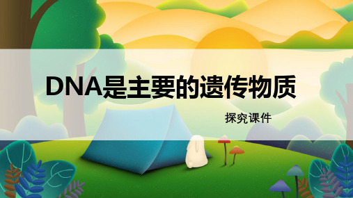 苏教版八年级生物下册《DNA是主要的遗传物质》探究课件