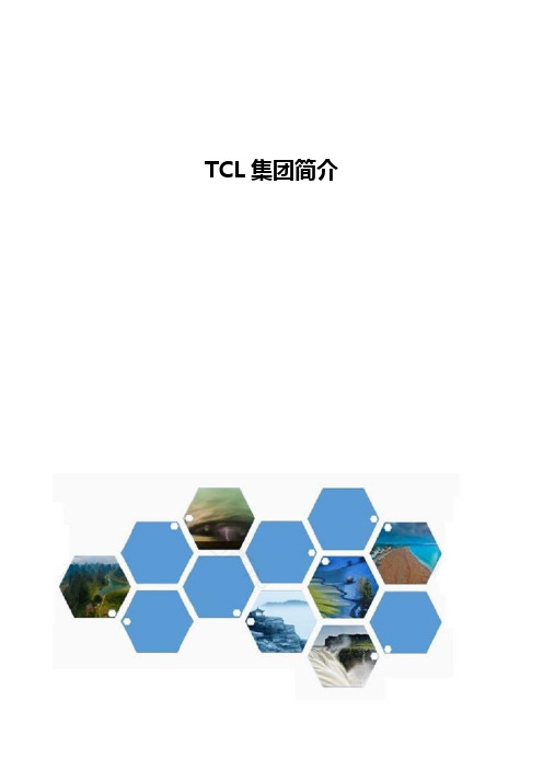 TCL集团公司简介