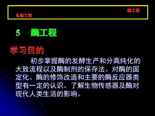 生物技术概论：5.酶工程