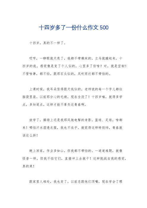 十四岁多了一份什么作文500