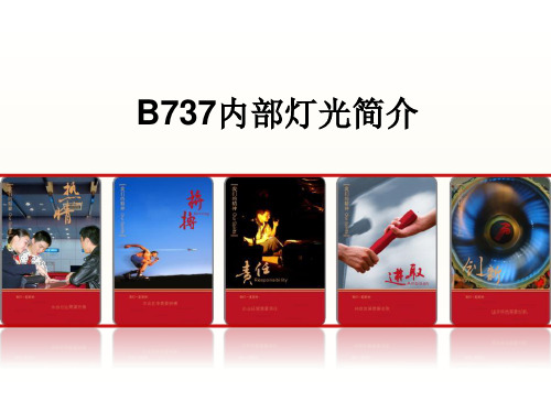 【C检 A检 航线】精品课件：B737内部灯光简介