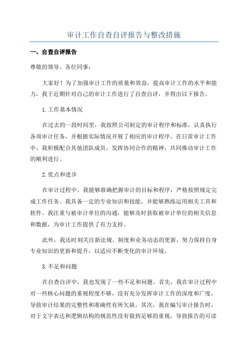 审计工作自查自评报告与整改措施