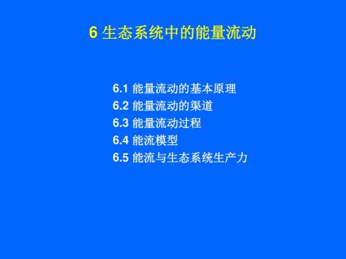 生态学6能量流动