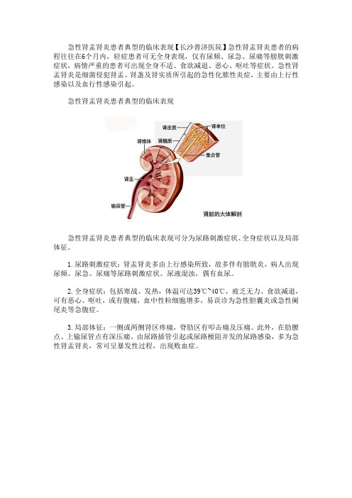 急性肾盂肾炎患者典型的临床表现