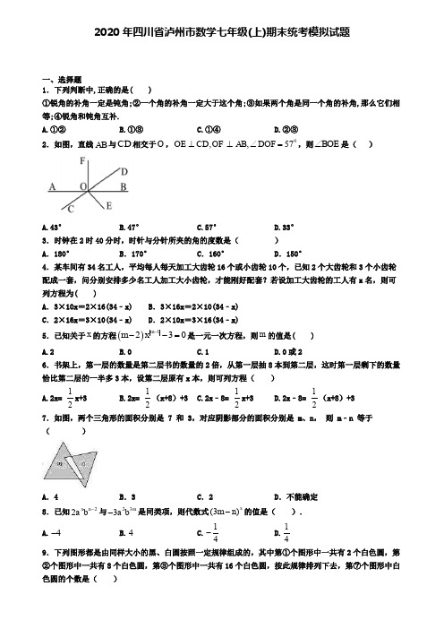 2020年四川省泸州市数学七年级(上)期末统考模拟试题